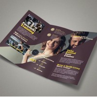 250 Brochures 8.5